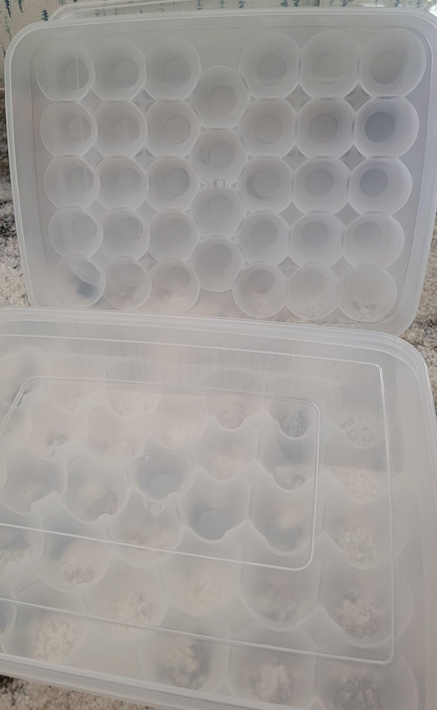 2 PACK, EGG STORAGE CONTAINER