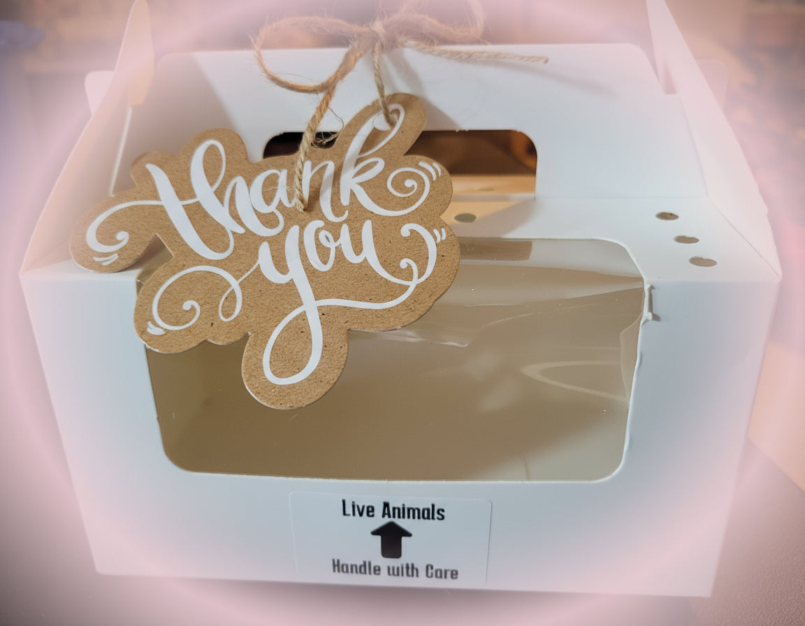 PEEK-A-BOO CHICK CARRIER