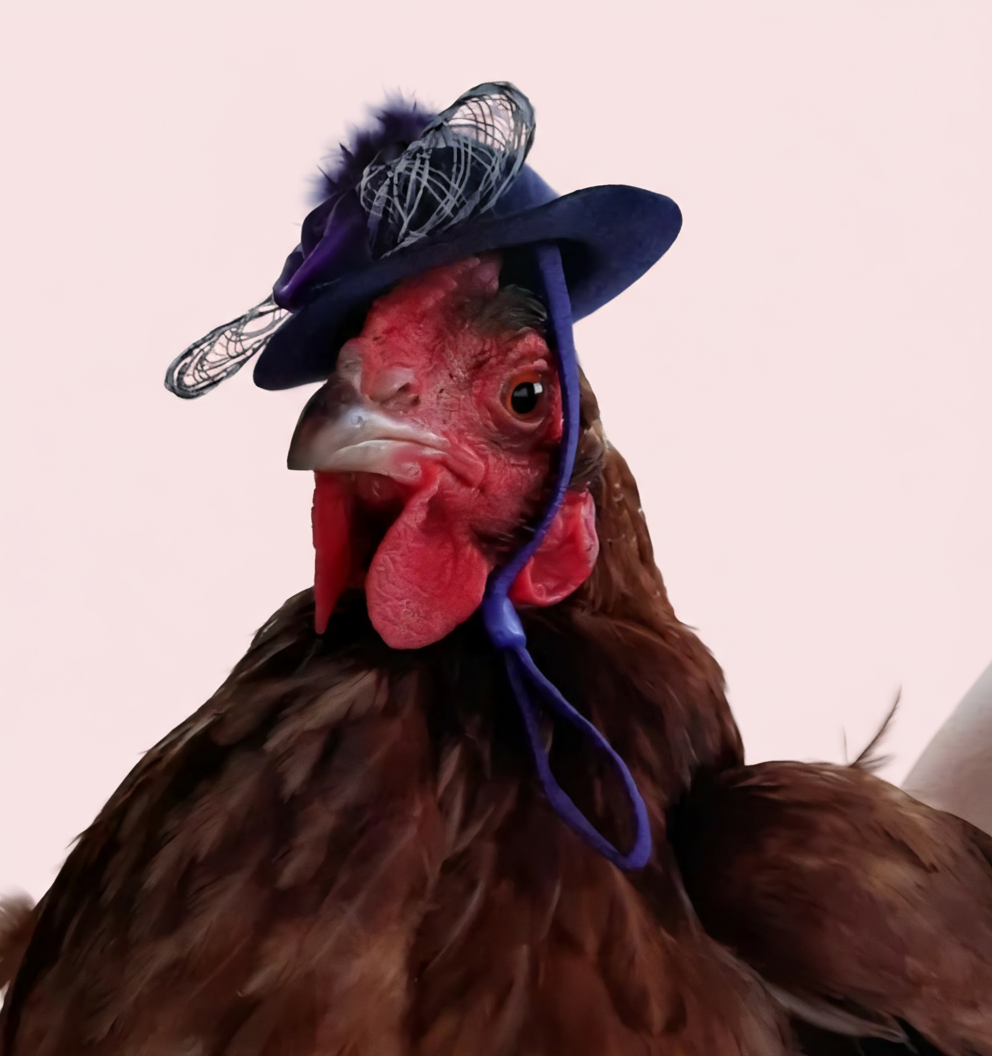 FUNNY CHICKEN HAT