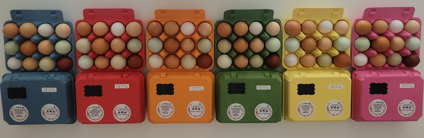 Colorful Egg Carton Kits, MIX and MATCH the Colors, Safe Handling Stickers Included.