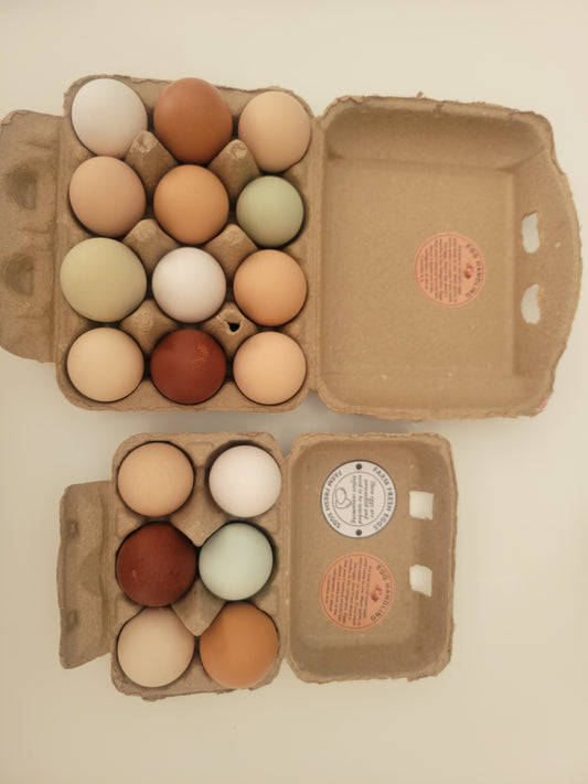 DOZEN BARNYARD MIX HATCHING EGGS