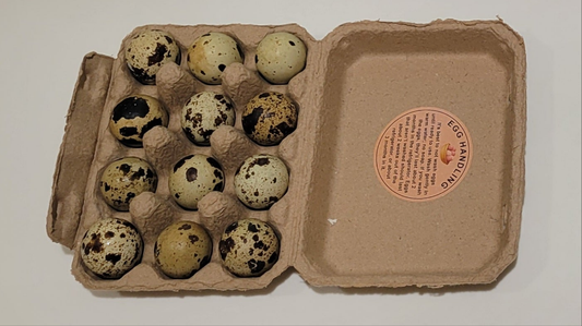 COURTNIX QUAIL HATCHING EGGS