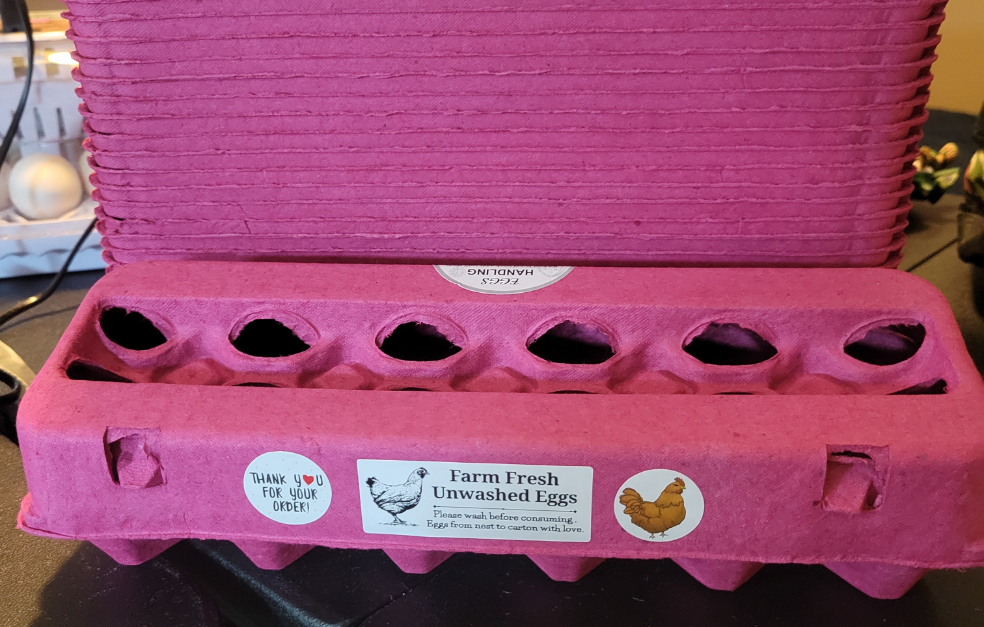 EGG CARTON KIT, HOT PINK, 12 CELL