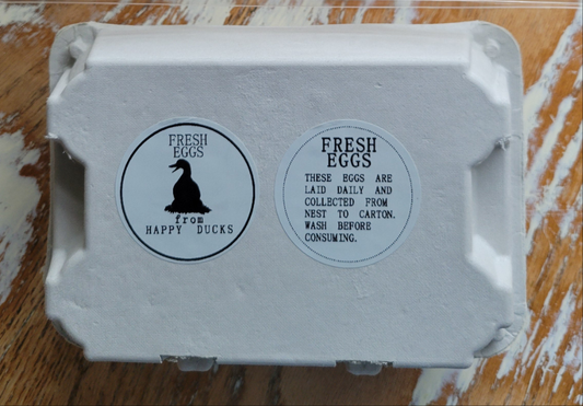 DUCK EGG CARTON KITS