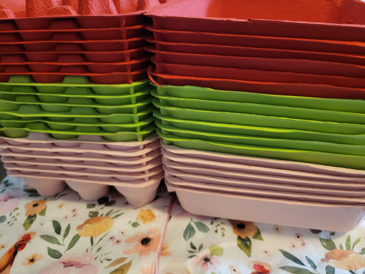 WATERMELON VIBES EGG CARTON KIT