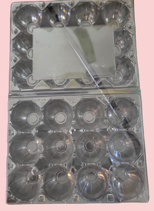 Duck Full Dozen Egg Carton Kit.