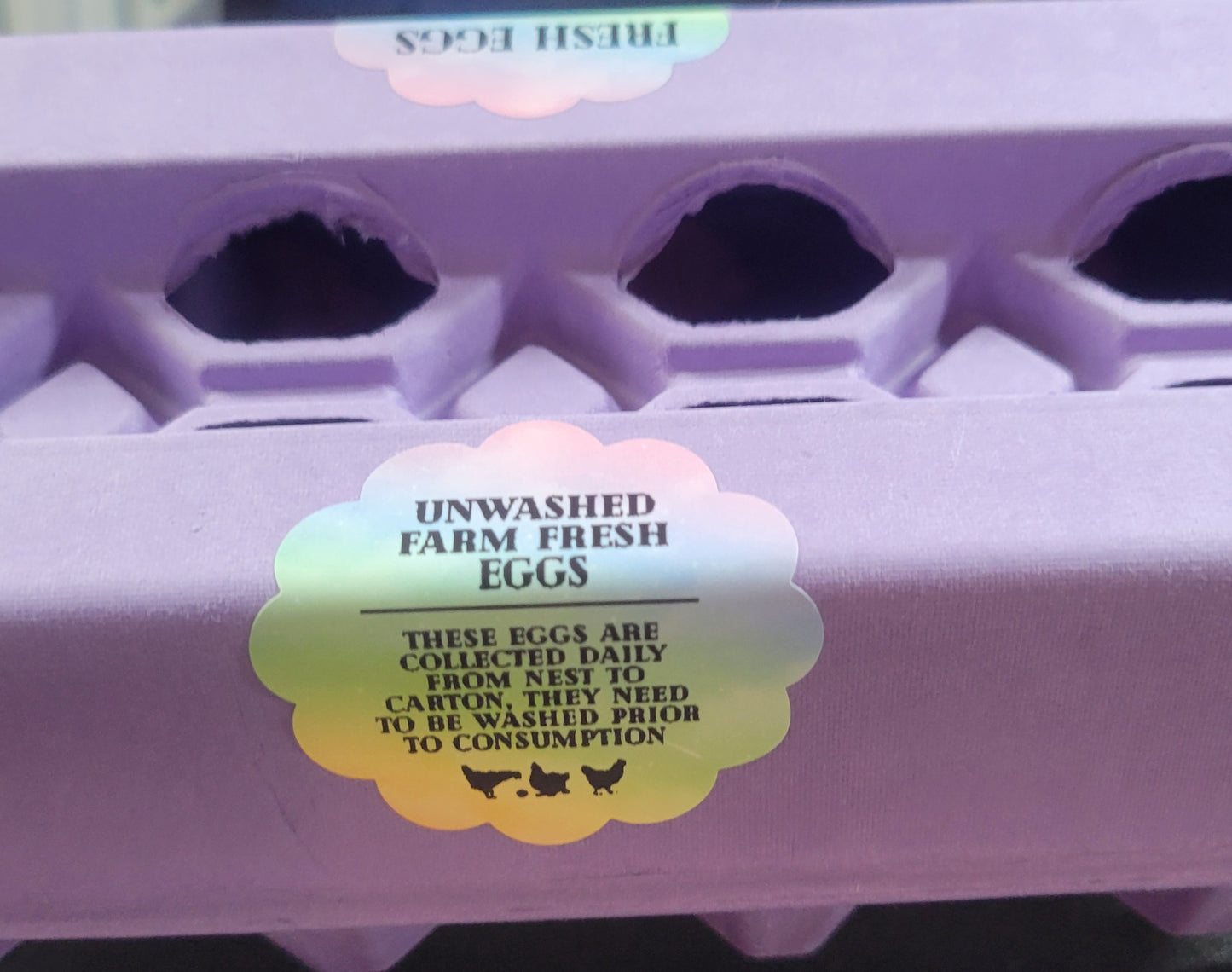 UNICORN EGG CARTON KIT