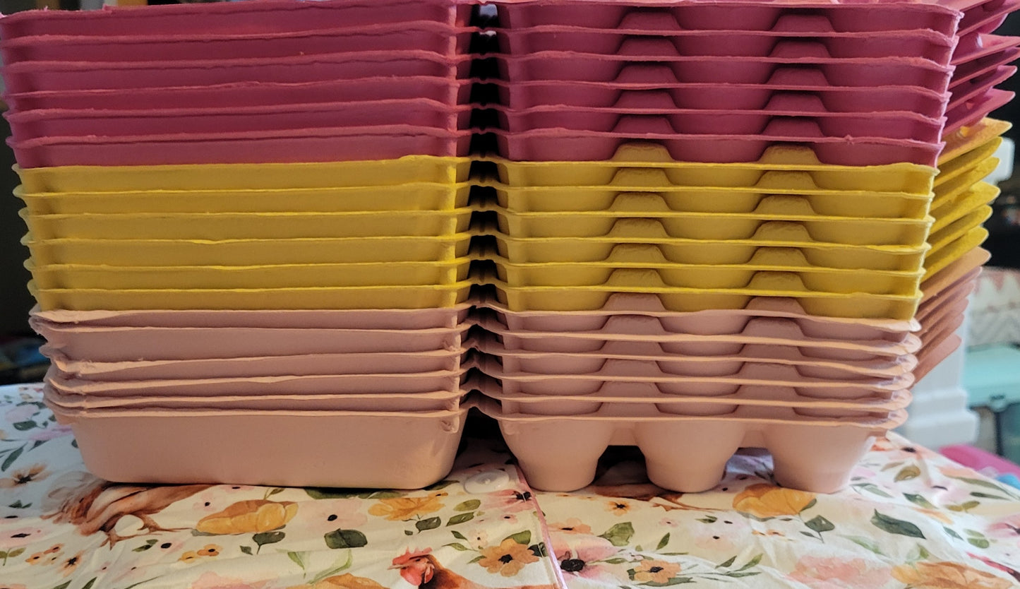 SUNSHINE TIME EGG CARTON KIT