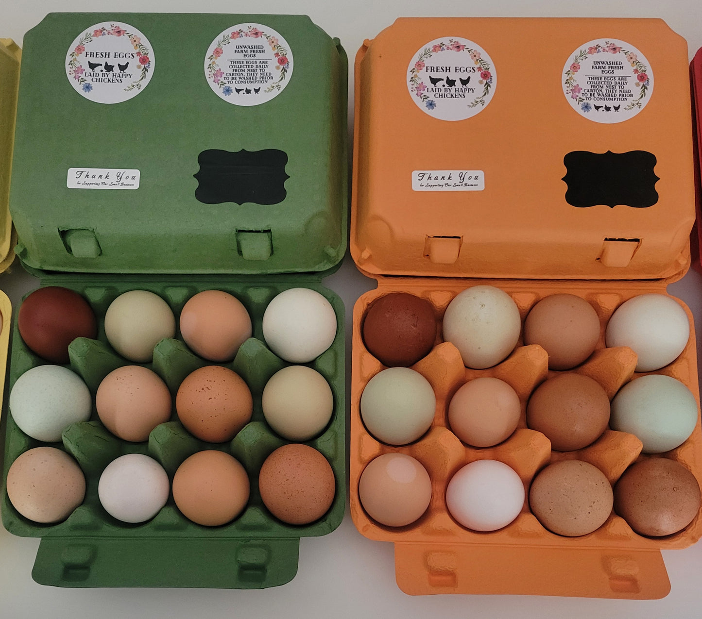 Colorful Egg Carton Kits, MIX and MATCH the Colors, Safe Handling Stickers Included.