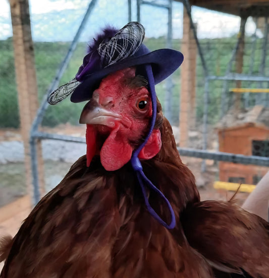 FUNNY CHICKEN HAT