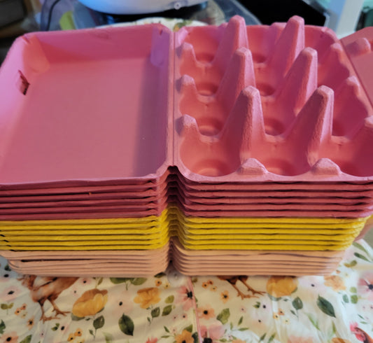 SUNSHINE TIME EGG CARTON KIT