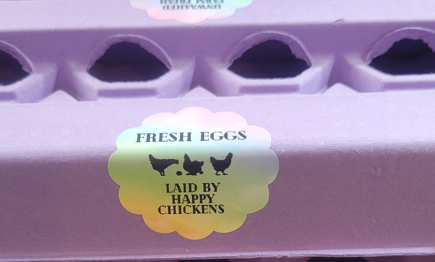 Girly Girl Egg Carton Kit