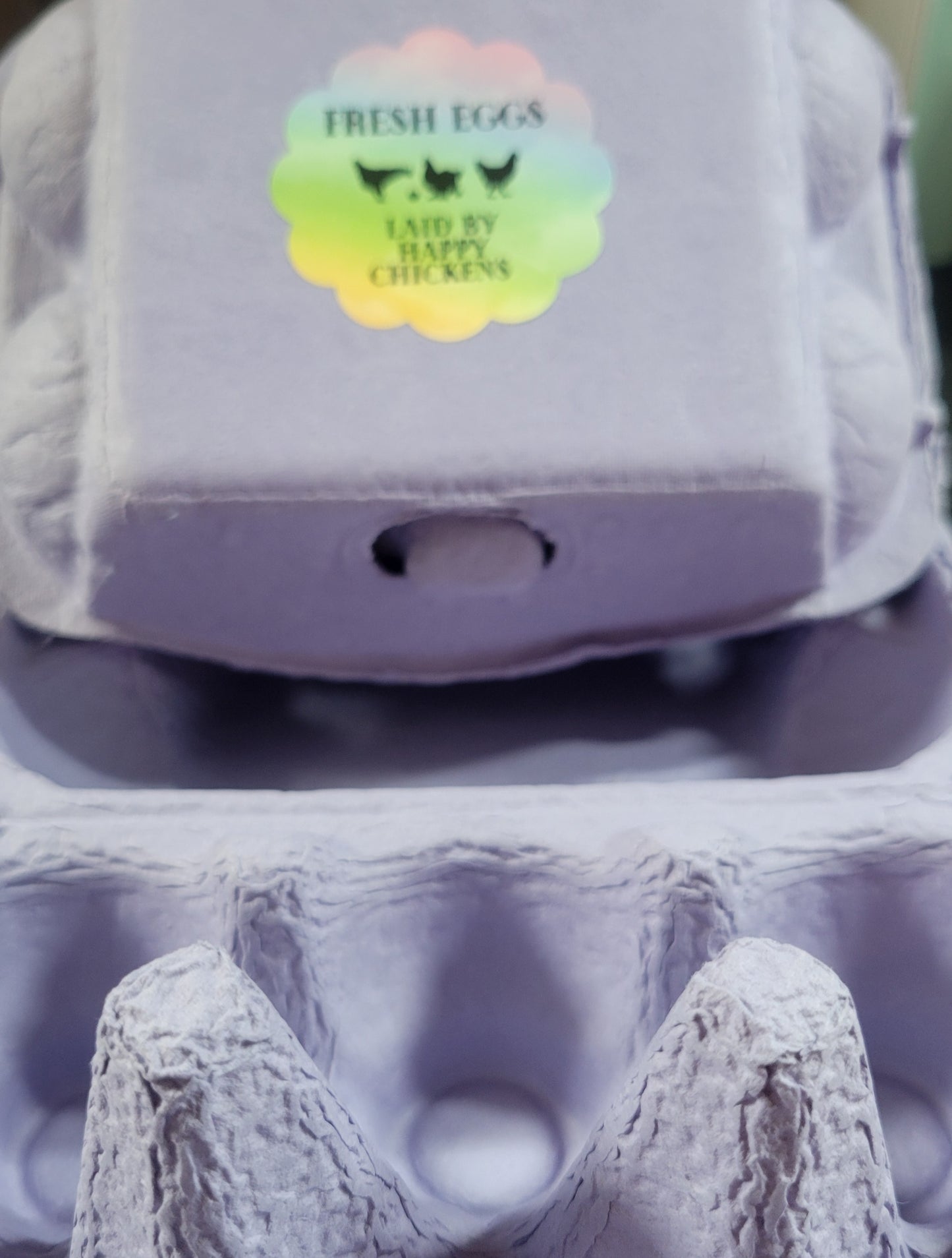 UNICORN EGG CARTON KIT