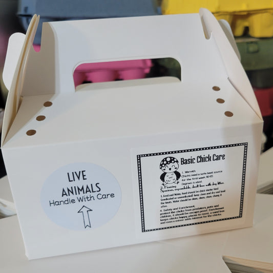 CHICK TEMPORARY CARRIER BOX KIT