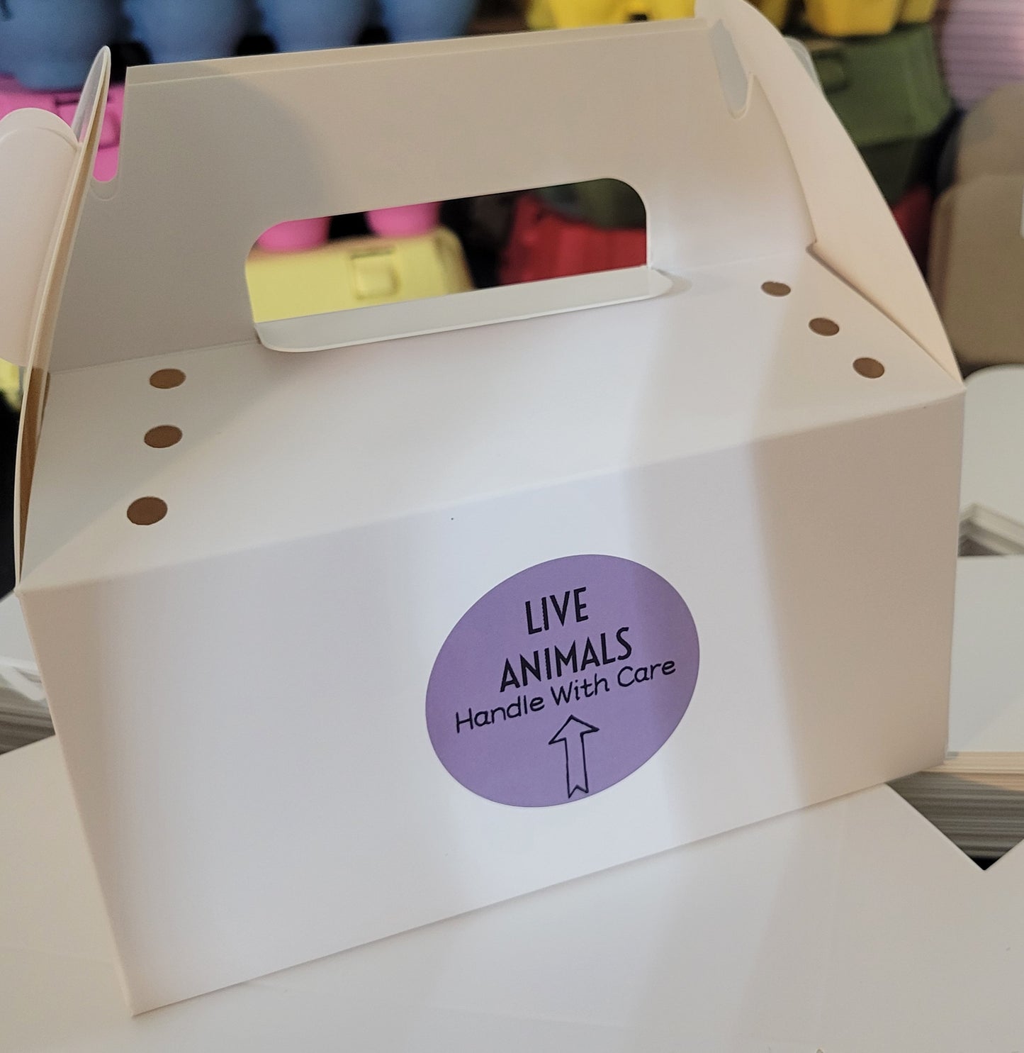 CHICK TEMPORARY CARRIER BOX KIT