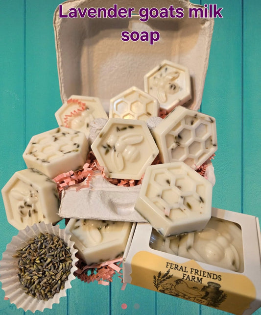 FERAL FRIENDS FARM GOATS MILK SOAP