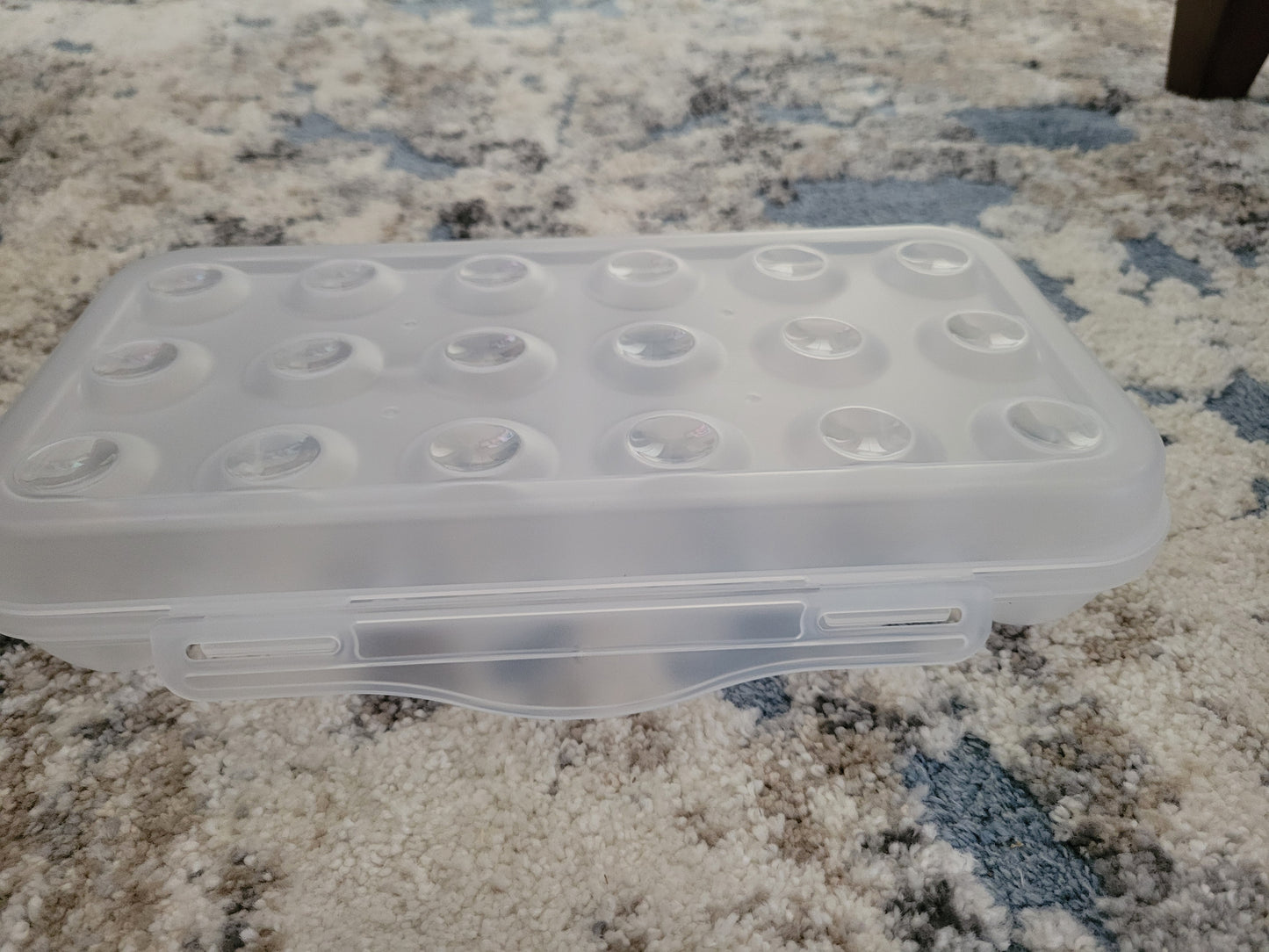 18 CELL PLASTIC EGG STORAGE CONTAINER