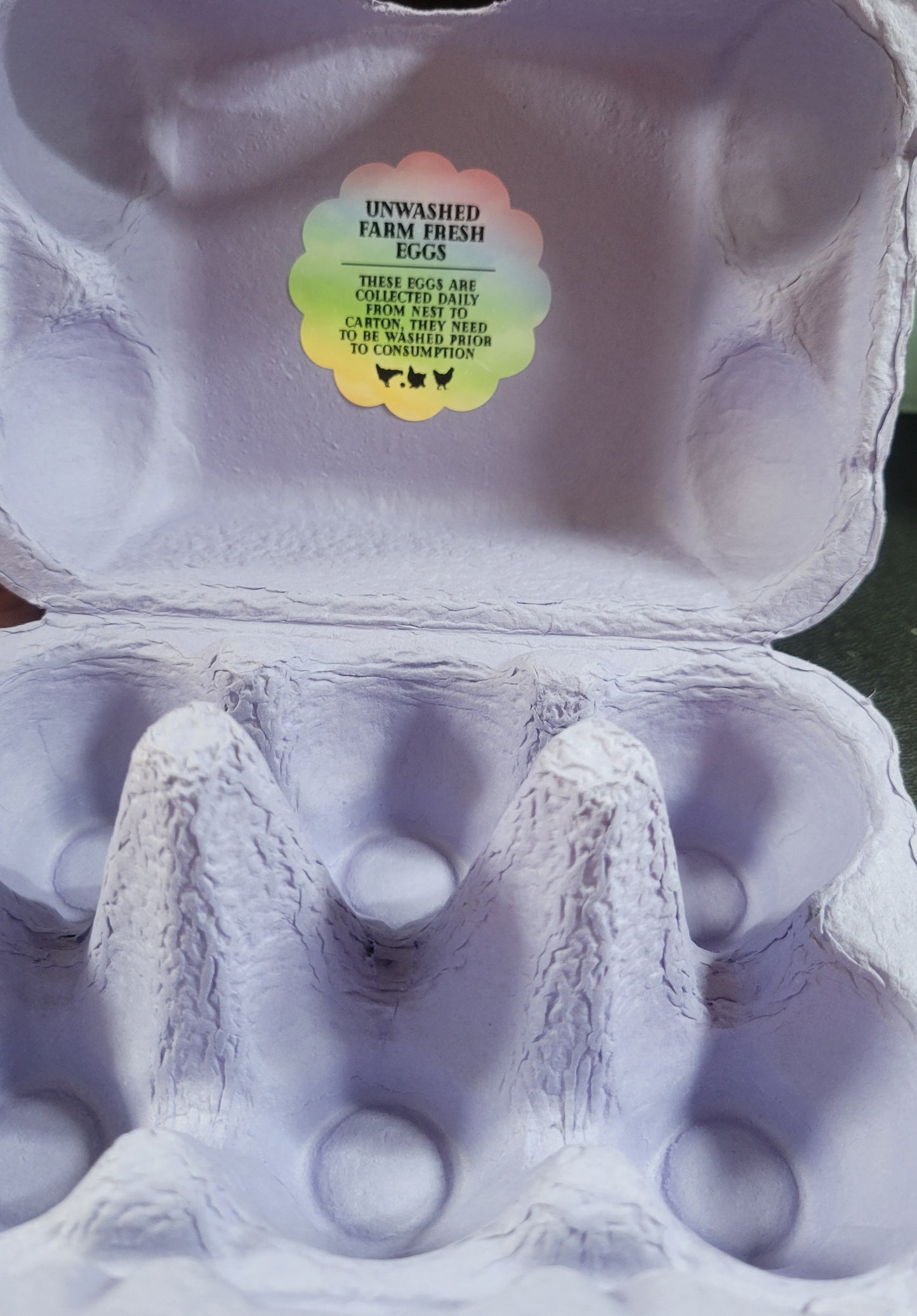 UNICORN EGG CARTON KIT