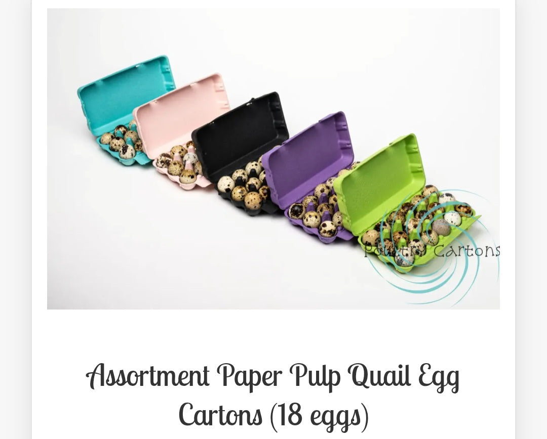 Mermaid Color Quail Egg Kit. HOLDS 18 EGGS. Comes With Sticker and Safe Handling Cards. 20 Cartons with 4 of Each Color.