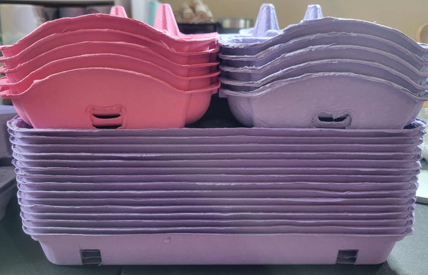 Girly Girl Egg Carton Kit