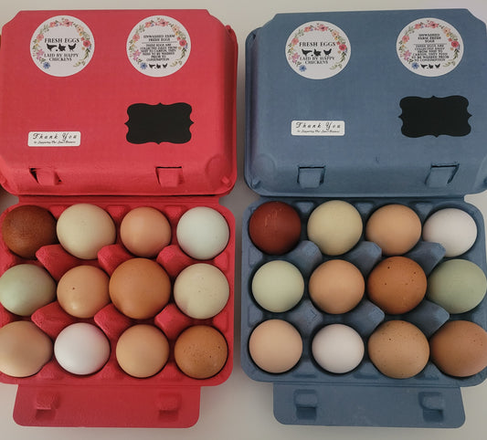 Colorful Egg Carton Kits, MIX and MATCH the Colors, Safe Handling Stickers Included.